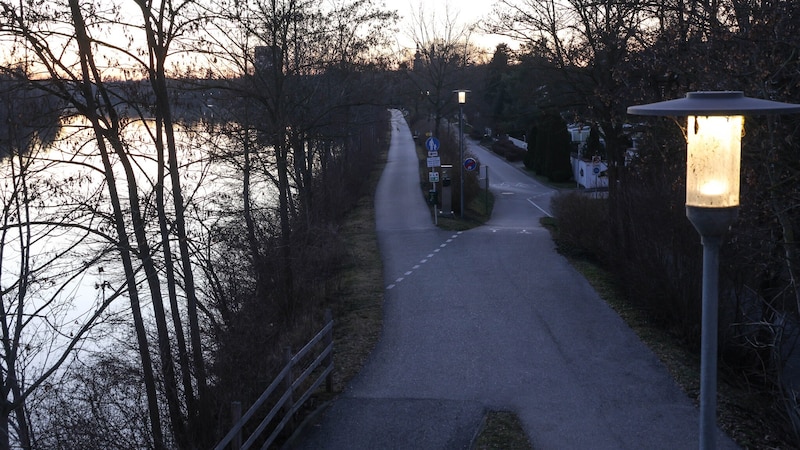 Traunufergehweg im Welser Stadtteil Pernau (Bild: Matthias Lauber/laumat.at)