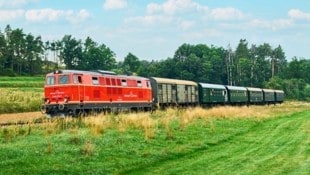 Die nostalgischen Zeitzeugen sollen mit ihren schweren Dieselmotoren auf den restaurierten Stellen die Spur halten: Der Reblaus-Express ist ab 1. Mai wieder in Fahrt. (Bild: NÖ Bahnen)