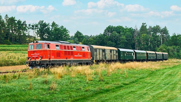 The nostalgic contemporary witnesses will keep on track with their heavy diesel engines on the restored sections: The Reblaus-Express will be back in action from May 1. (Bild: NÖ Bahnen)