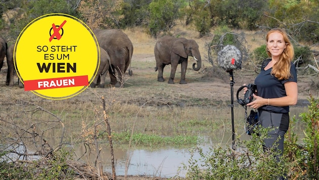 Behavioral scientist Angela Stöger researches the language of elephants (Bild: Krone KREATIV/Angela Stöger)