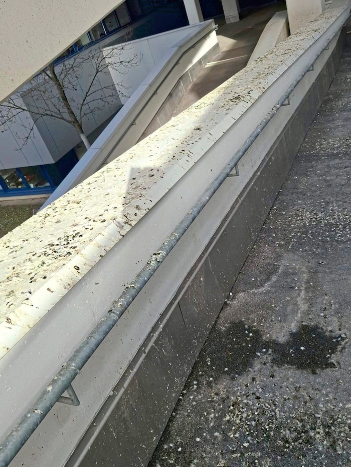 Massive Reinigungsarbeiten am Schulgelände waren nötig.