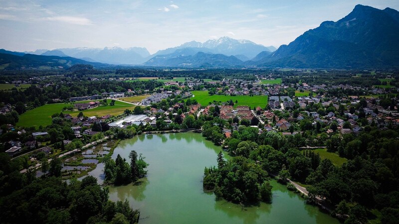 Grundeigentümer und Bauern rund um den Weihern beklagen die Auswirkungen durch die Gänse. (Bild: Pressefoto Scharinger/Daniel Scharinger)