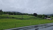 Diese Wiese ist der Stein des Anstoßes. Ging bei dem Verkauf alles mit rechten Dingen zu? Das ...