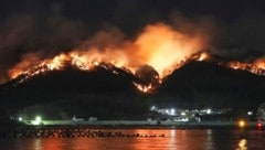 Der Waldbrand brach in Ofunato in der Präfektur Iwate aus. (Bild: AP/AP ( via APA) Austria Presse Agentur)