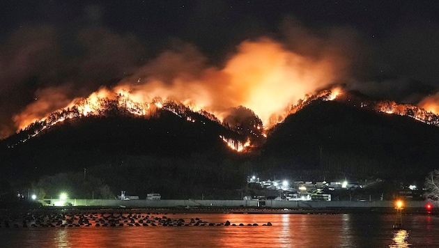 Der Waldbrand brach in Ofunato in der Präfektur Iwate aus. (Bild: AP ( via APA) Austria Presse Agentur)