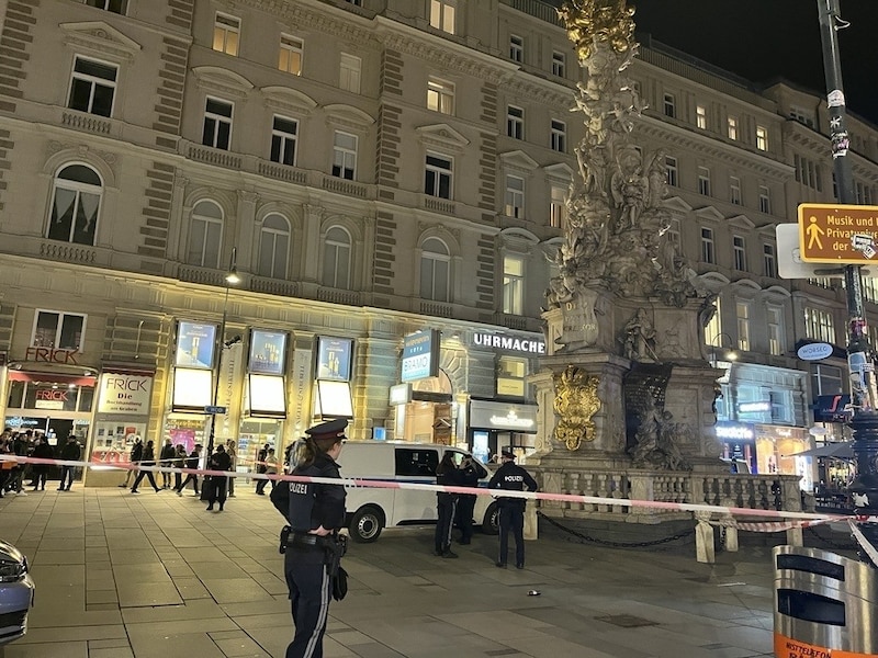 Krachte in die Pestsäule am Graben: Alko-Lenker in Wien (Bild: Martina Münzer)