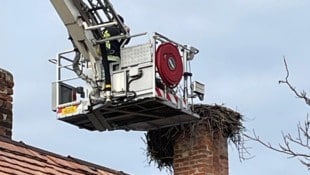 Die FF Neusiedl am See führte die Nestsäuberung durch. 