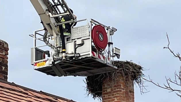 The Neusiedl am See fire brigade carried out the nest cleaning. (Bild: Karl Wirthner)