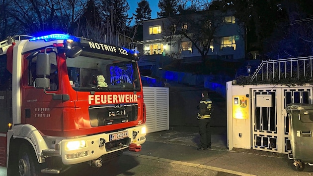 Mit Blaulicht rückte die Berufsfeuerwehr nach Dornbach aus. Die Hintergründe des Feuers sind mysteriös. (Bild: Josef Poyer)