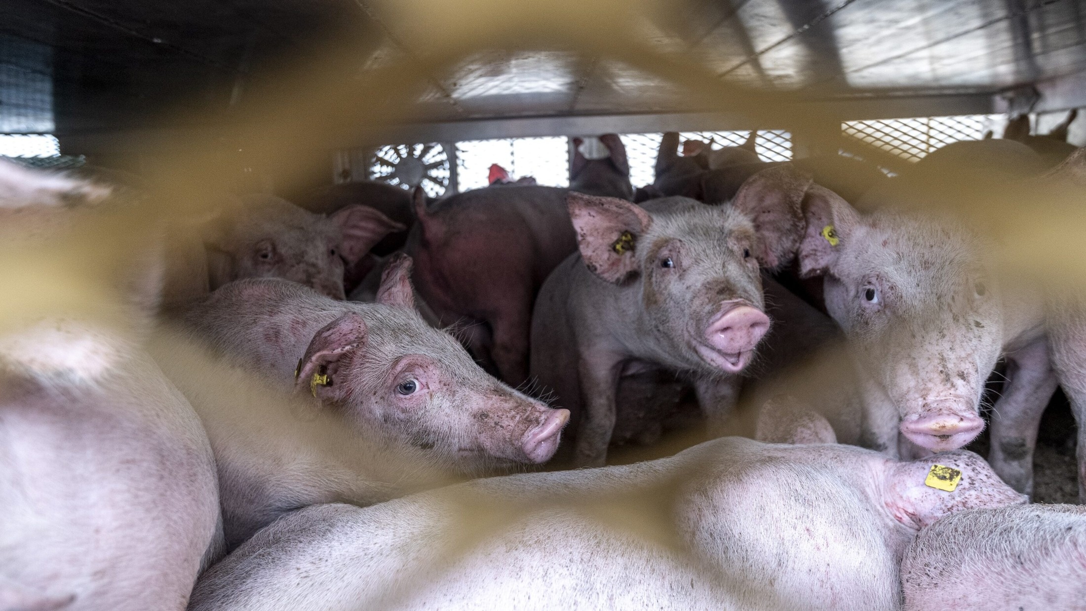 Wir setzen uns auch auf politischer Ebene für Verbesserungen ein – etwa beim Thema ...