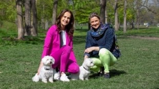 Aktiv im Tierschutz: Maggie Entenfellner von der „Krone“ und Landesrätin Susanne Rosenkranz (rechts). (Bild: Alois Endl Photography)