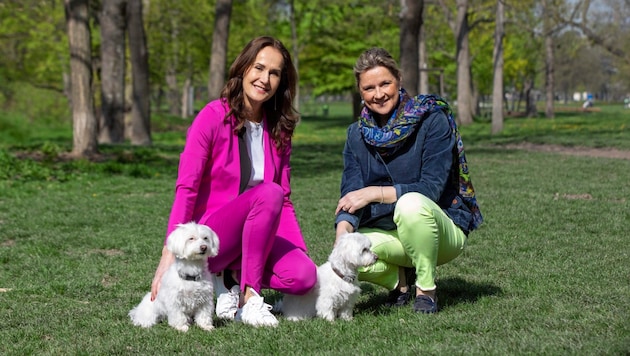 Active in animal welfare: Maggie Entenfellner from "Krone" and Provincial Councillor Susanne Rosenkranz (right). (Bild: Alois Endl Photography)