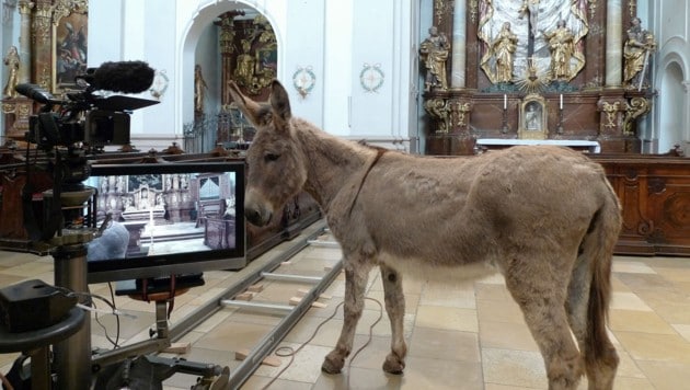 Der Esel beim Dreh in der Kirche. (Bild: Bildrecht Wien, 2025)