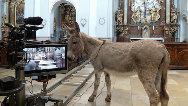 The donkey shooting in the church. (Bild: Bildrecht Wien, 2025)