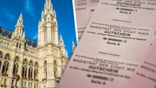 Bei den Essensgutscheinen für Magistratsarbeiter kam es jetzt zu einer Änderung. Doch nicht alle sind glücklich darüber. (Bild: Krone KREATIV/stock.adobe.com, FPÖ Wien)