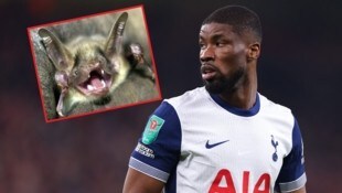 Kevin Danso teilt sich den Tottenham-Trainingskomplex mit Fledermäusen