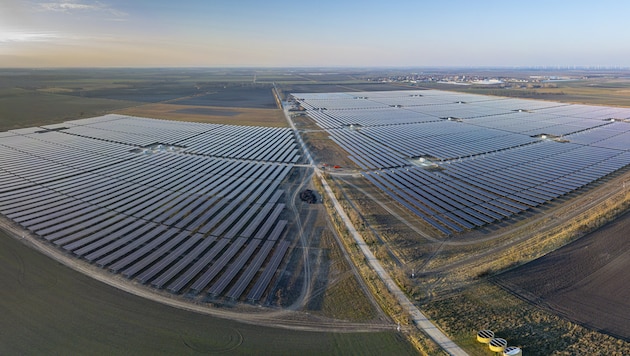 Der Agri-PV-Park in Tadten-Wallern ist der größte europaweit. (Bild: Burgenland Energie AG)