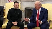 Der ukrainische Präsident Selenskyj hatte auf Trumps Vergleich eine passende Antwort. (Bild: krone.tv )