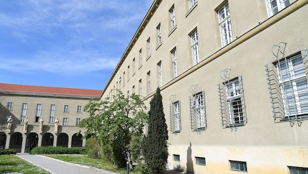 Im Landesgericht Krems musste ein erst 14-Jähriger wegen Mordversuchs auf der Anklagebank Platz nehmen. (Bild: Patrick Huber)