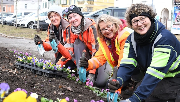 Stiefmütterchen, Bellis und Vergissmeinnicht haben die fleißigen Hände des Stadt- gartens ausgepflanzt. (Bild: Stadt Villach/Künster)