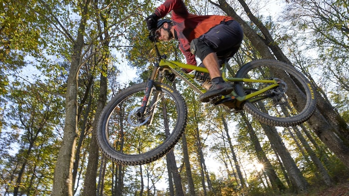 Auf über 40 Kilometern wartet auf den Burgenland Trails zwischen Lockenhaus und Rechnitz Action ...