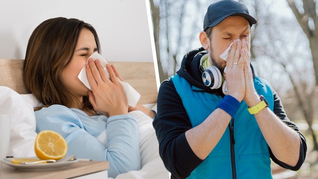 Hatschi! Influenza B, Rhinoviren sowie Hasel- und Erlenpollen setzen viele Österreicher gerade schachmatt. Etliche leiden doppelt. (Bild: Krone KREATIV/stock.adobe.at)