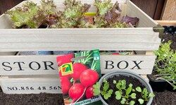 Die Gartensaison kann beginnen. Salate und Radieschen warten auf die Aussaat.