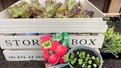 Die Gartensaison kann beginnen. Salate und Radieschen warten auf die Aussaat.