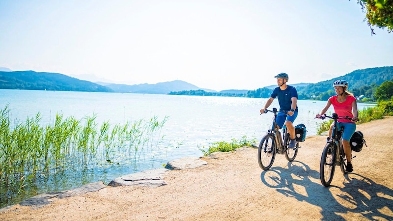 Carinthia's Lake Loop is one of the most popular cycle paths in Austria. (Bild: Gert Perauer)