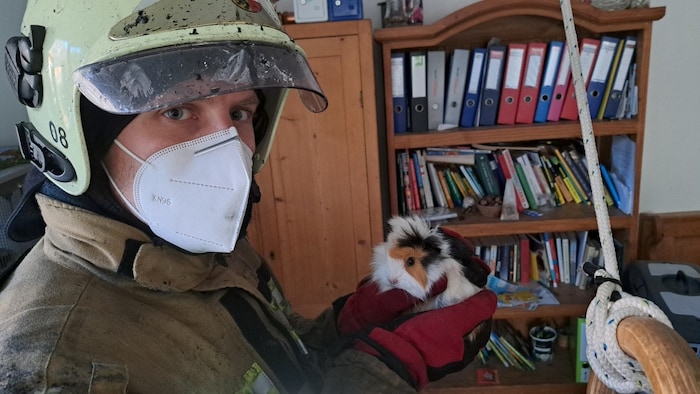 Die Feuerwehr brachte auch alle Haustiere in Sicherheit.