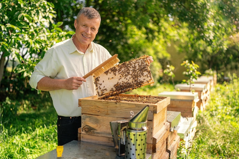 Es gibt 33.000 Bienen-Völker in Kärnten. (Bild: FOTObyHOFER/Christian Hofer)