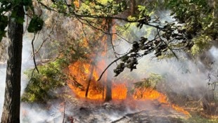 Im Südtiroler Vinschgau wütet derzeit ein großflächiger Waldbrand.