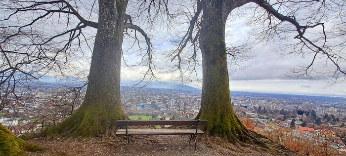 Vom Zanzenberg aus hat man einen wunderbaren Panoramablick auf die Stadt Dornbirn.