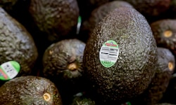 Die Avocadobauern haben ihre Lieferungen in die USA pausiert.