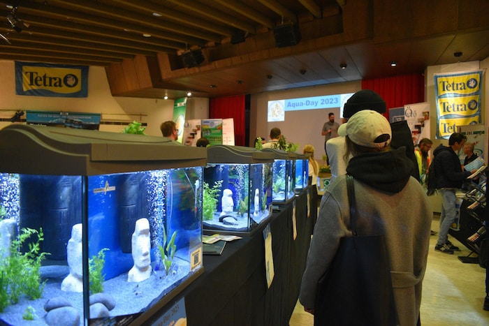 Der ehrenamtliche Verein besteht seit 1990 und zählt etwa 170 Mitglieder aus vier Nationen.