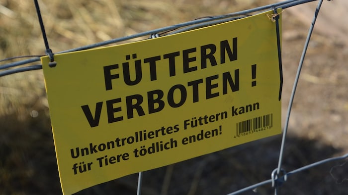 Das „Füttern verboten“ ist nicht als Boshaftigkeit gegenüber der Besucher gedacht, sondern ...