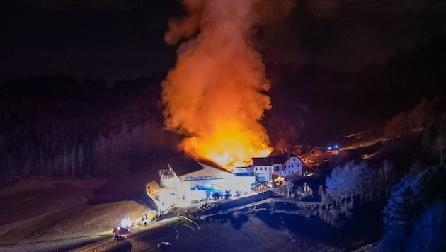 Die Flammen waren von Weitem sichtbar, nicht alle Tiere konnten aus dem Stall gerettet werden (Bild: TEAM FOTOKERSCHI / SIMON BRANDSTÄTTER)