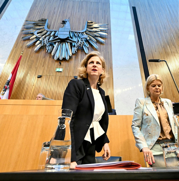 Beate Meinl-Reisinger