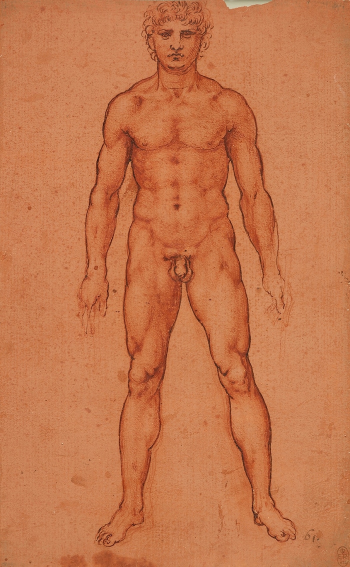 Männlicher Akt von Leonardo da Vinci aus der einzigartigen Sammlung von King Charles III.