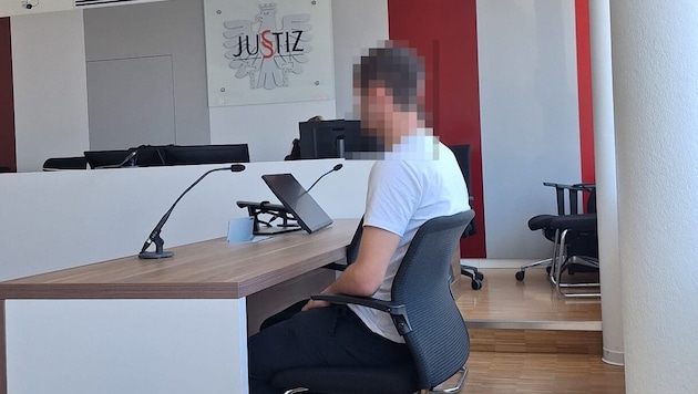 The man pleaded guilty and apologized to everyone involved. (Bild: HS, Krone KREATIV)