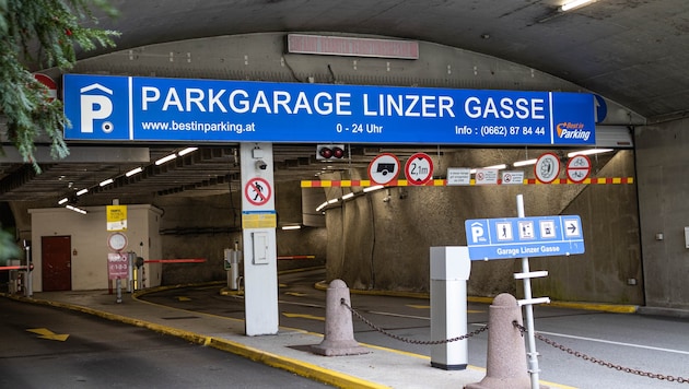 Die Einfahrt würde durch die bestehende Garage führen.