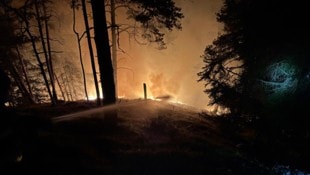 Ende Dezember brannte ein Waldstück in Semriach (Bezirk Graz-Umgebung). 