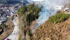 Die Hanglage des Waldstücks erschwerte die Löscharbeiten. (Bild: FF Hirschbach)