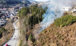 Die Hanglage des Waldstücks erschwerte die Löscharbeiten.