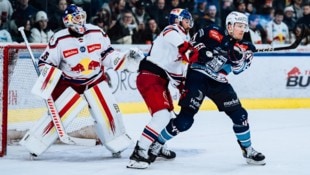 Goalie Tolvanen (mit Rowe) feierte gegen Fehervar sein zweites Shutout in Serie. (Bild: Manuel Mackinger - EC Red Bull Salzburg)