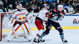 Goalie Tolvanen (mit Rowe) feierte gegen Fehervar sein zweites Shutout in Serie. (Bild: Manuel Mackinger - EC Red Bull Salzburg)