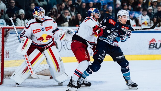 Goalie Tolvanen (mit Rowe) feierte gegen Fehervar sein zweites Shutout in Serie.