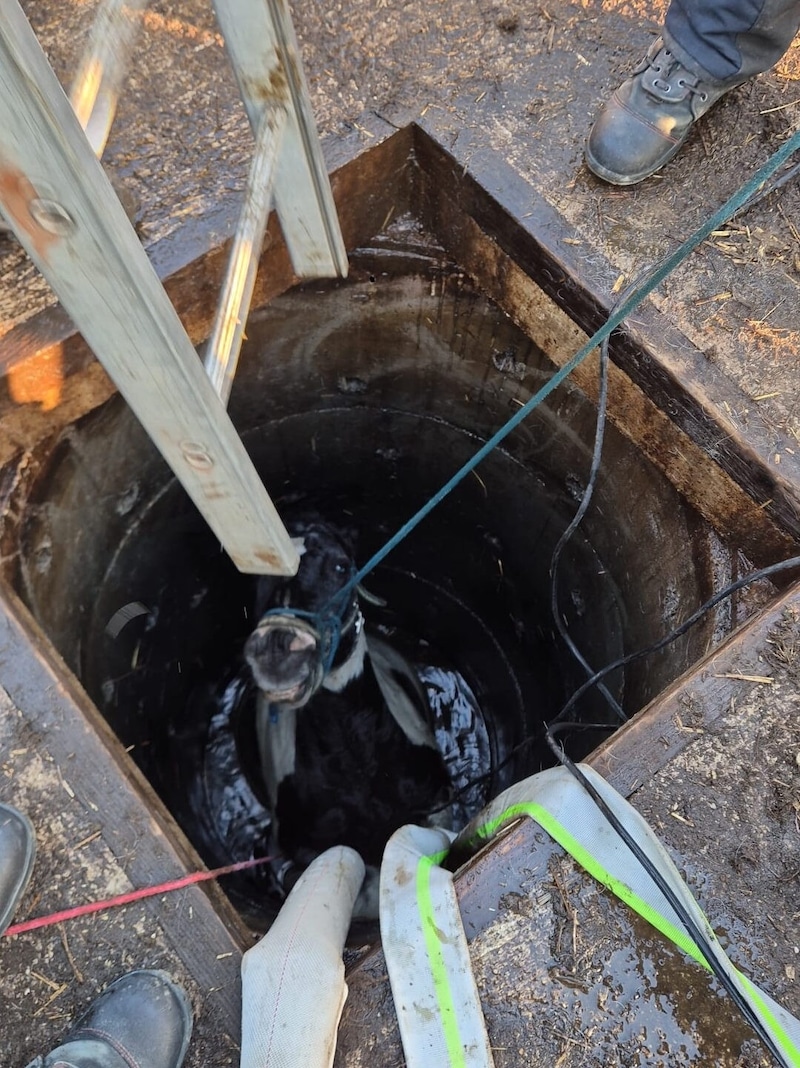 Die Helfer mussten zuerst das Wasser abpumpen. (Bild: FF Feldkirchen/Matt.)