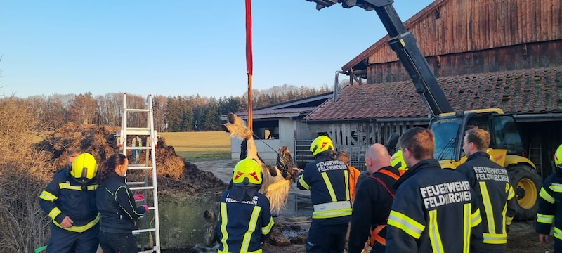 Auf den Hufen wurde das Tier herausgezogen. (Bild: FF Feldkirchen/Matt.)