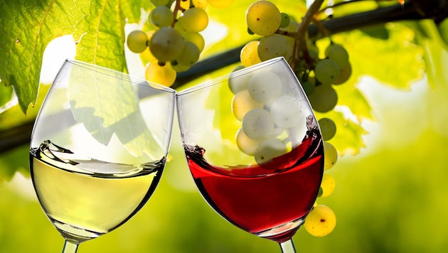 Sad news for wine lovers: there is less Lower Austrian grape juice. (Bild: Visions-AD – stock.adobe.com)